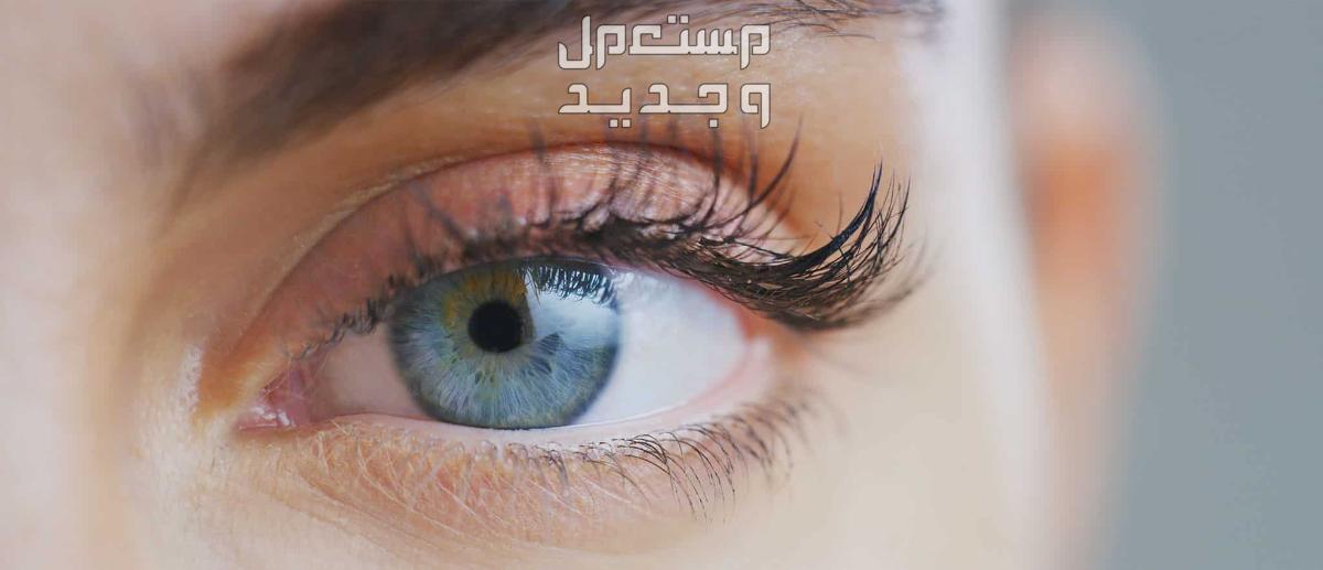 رؤية تركيب رموش اصطناعية في المنام للعزباء والمتزوجة رؤية تركيب رموش اصطناعية في المنام للعزباء والمتزوجة