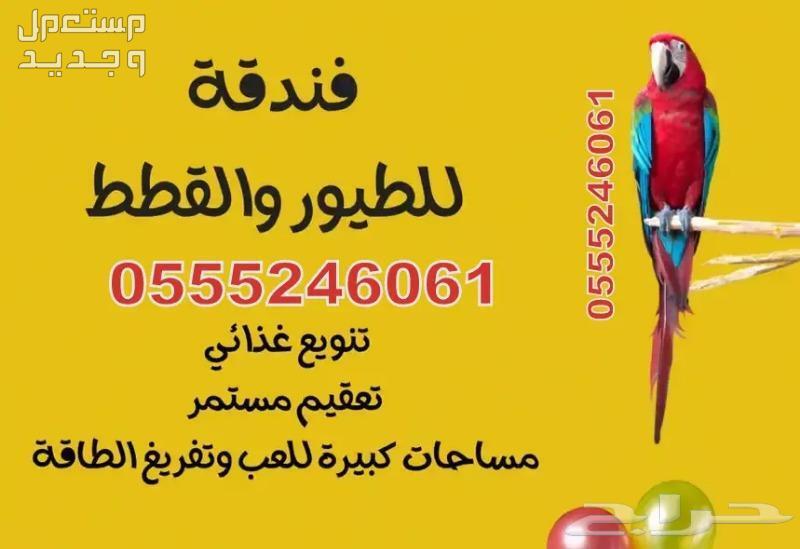 فندقة قطط وطيور 61 60 24 0555 وقت سفرك - حي المروج
