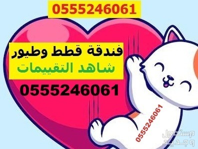 فندقة قطط وطيور 61 60 24 0555 وقت سفرك - حي المروج
