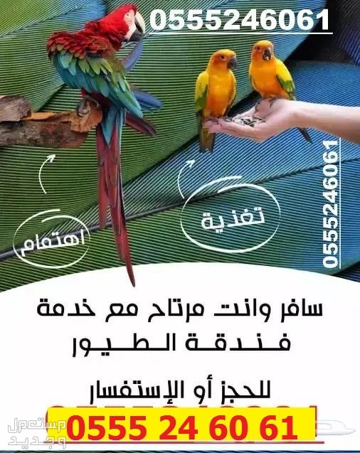 فندقة قطط وطيور 61 60 24 0555 وقت سفرك - حي المروج