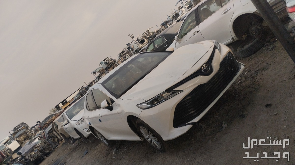 في الرياض بسعر 1 ريال سعودي
