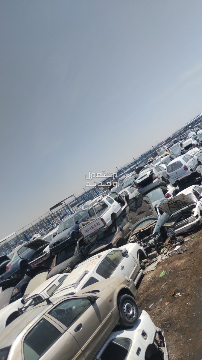 في الرياض بسعر 1 ريال سعودي