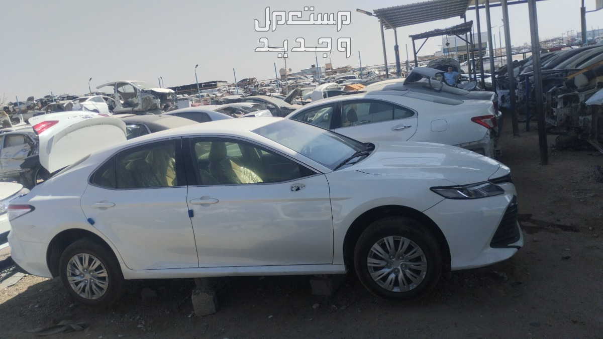 في الرياض بسعر 1 ريال سعودي