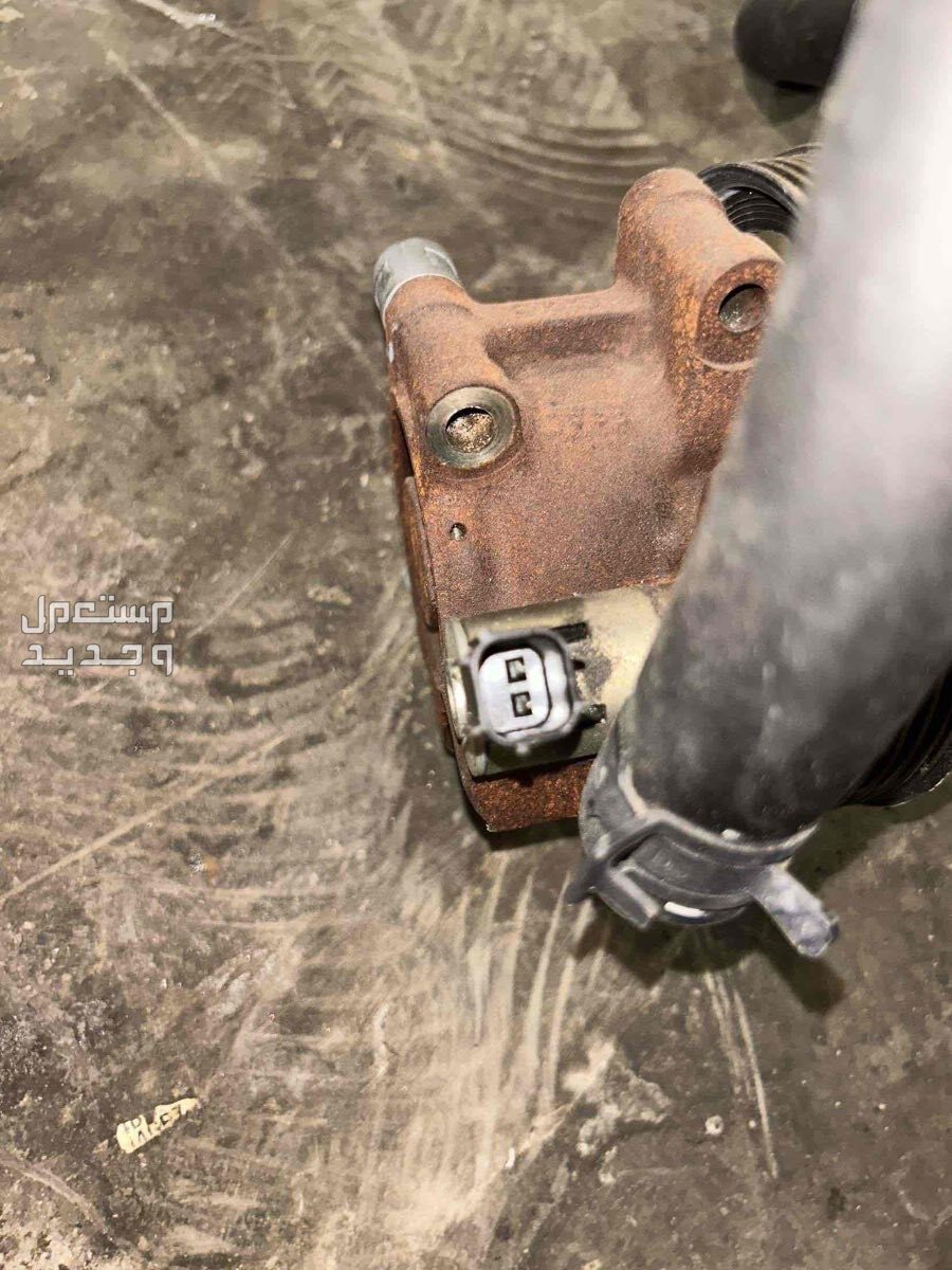 في الرياض بسعر ألف ريال سعودي