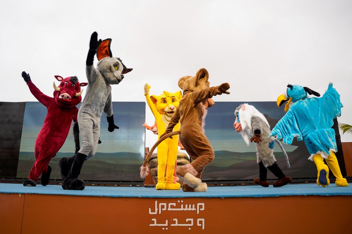 كل ما تحتاج معرفته عن موسم خريف ظفار 2024 موسم خريف ظفار 2024