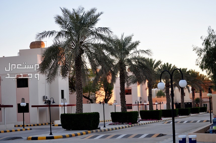 افخم احياء الرياض لعام 2024.. معلومات هامة عن 10 أحياء وأكثر افخم احياء الرياض لعام