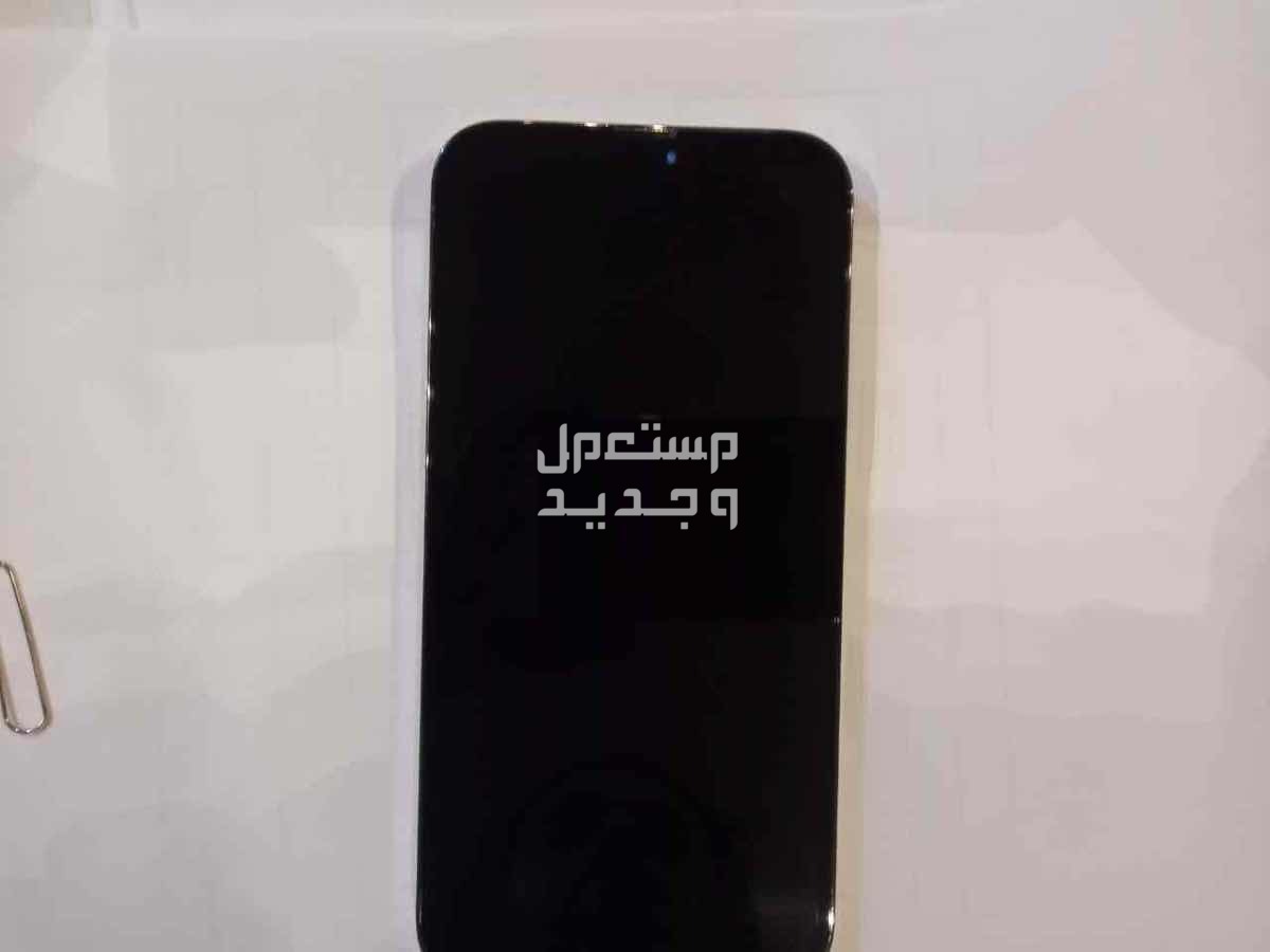 الرياض قرطبة