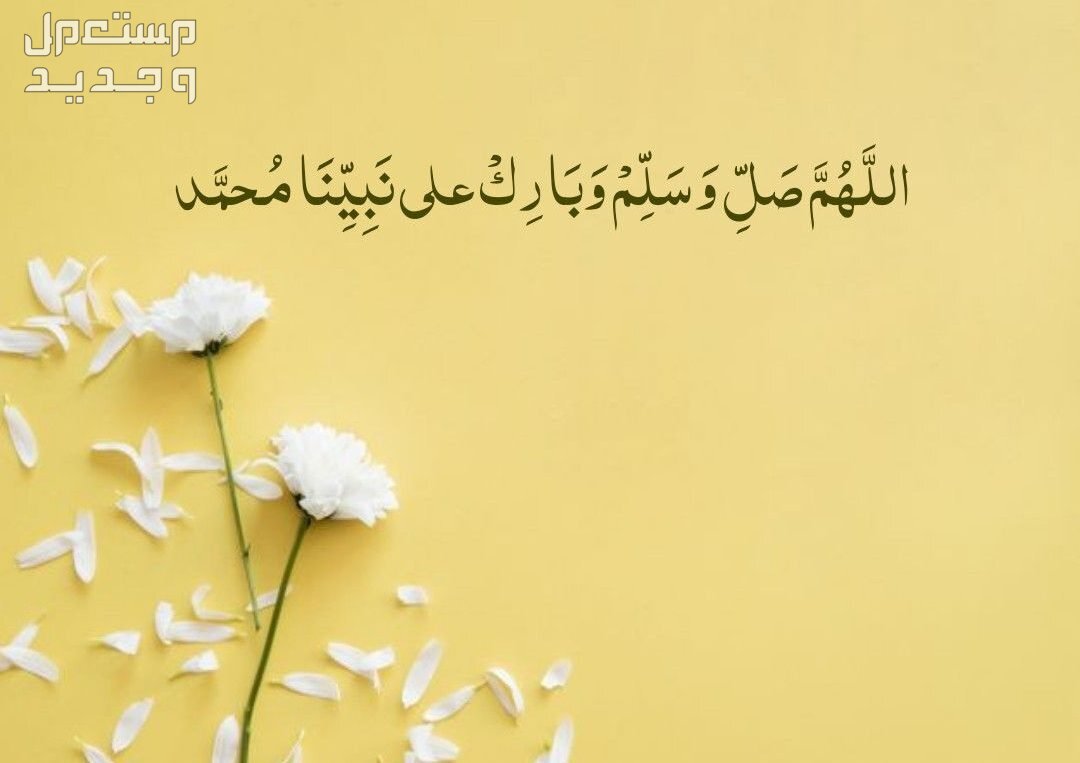 عبارات عن المولد النبوي الشريف قصيرة 2024 أجمل كلمات عن  المولد النبوي الشريف