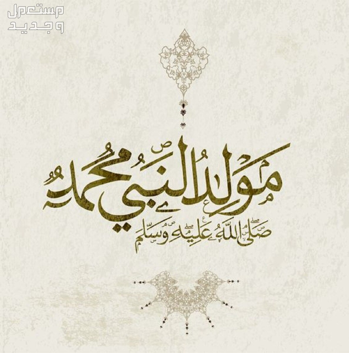 متى موعد المولد النبوي لعام 2024-1446.. وهل هو إجازة رسمية موعد المولد النبوي لعام 2024-1446