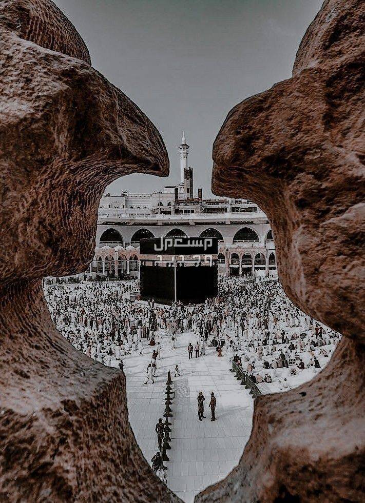 متى موعد المولد النبوي لعام 2024-1446.. وهل هو إجازة رسمية