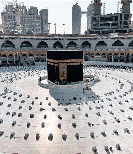 متى موعد المولد النبوي لعام 2024-1446.. وهل هو إجازة رسمية