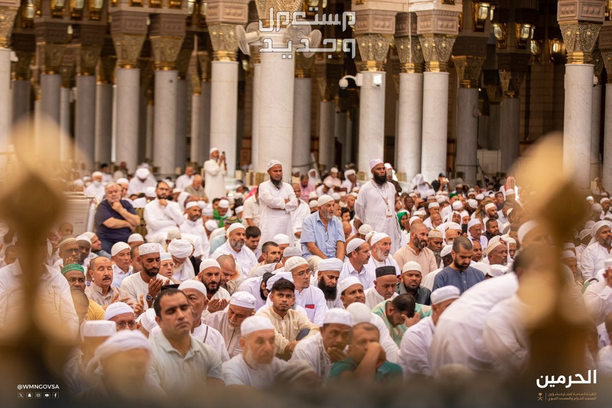 موعد إجازة المولد النبوي 2024 واهم مظاهر الاحتفال به المولد النبوي 2024