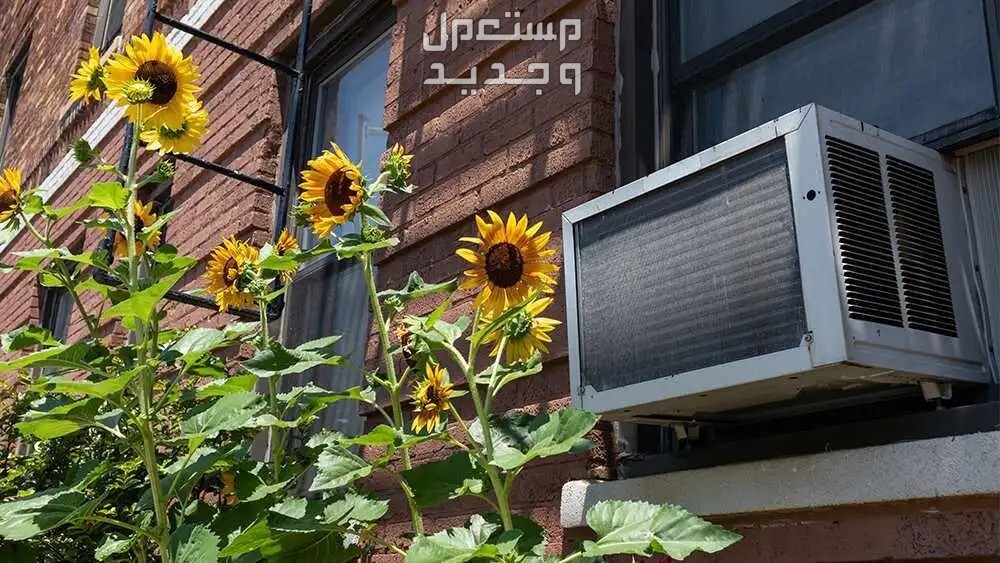 ديكور فتحة مكيف شباك 2024 (صور) أفكار جديدة ومبتكرة أفكار ديكور فتحة مكيف