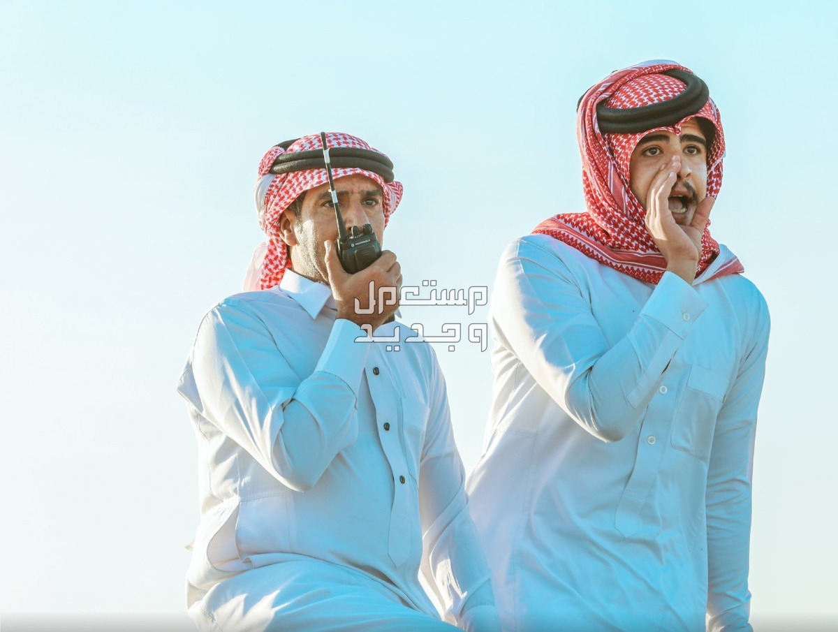 مهرجان ولي العهد للهجن 2024 .. الموعد والجوائز المالية مهرجان ولي العهد للهجن 2024