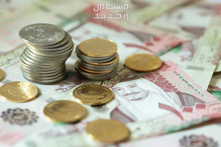 كيف يتم احتساب مبلغ الإعالة في التأمينات الاجتماعية 1446؟ معاش الإعالة من المؤسسة العامة للتأمينات الاجتماعية
