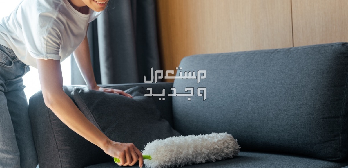 ما هو أقوى منظف للكنب الفاتح آمن على الأقمشة؟ كيفية تنظيف الكنب الفاتح