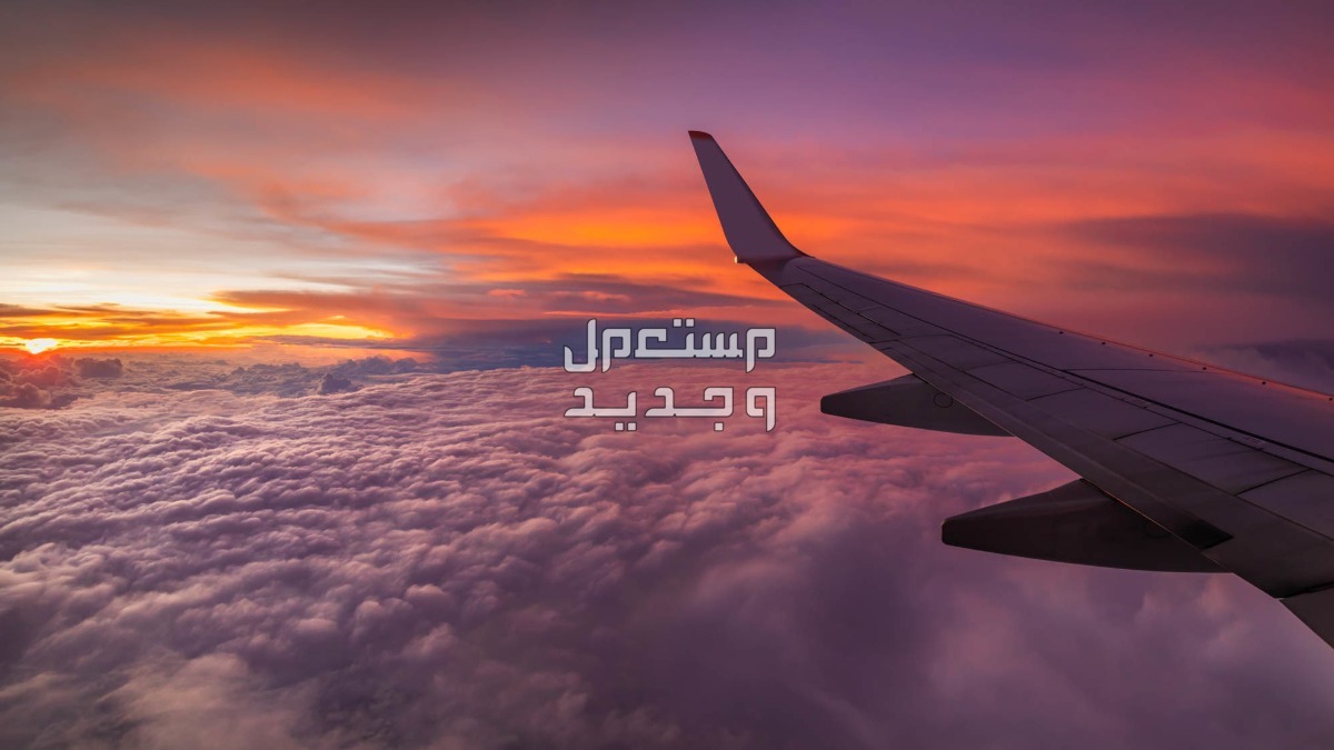ما هو تفسير حلم السفر بالطائرة للرجل والمرأة بالتفصيل؟ تفسير حلم السفر بالطائرة