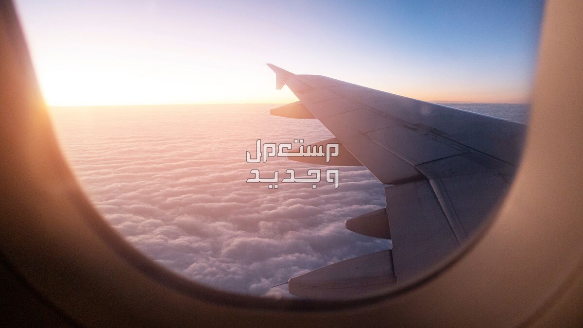 ما هو تفسير حلم السفر بالطائرة للرجل والمرأة بالتفصيل؟