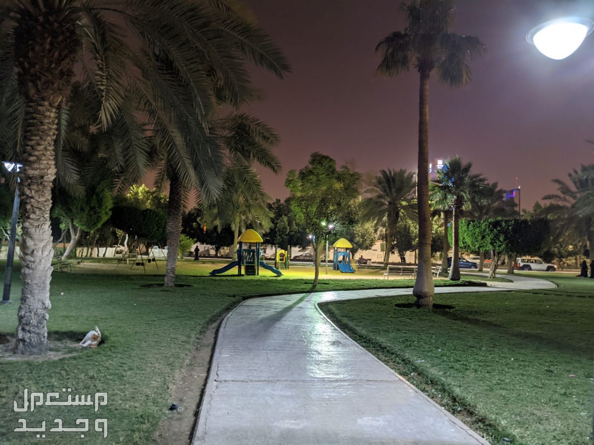 دليلك لأفضل أحياء شمال الرياض حي النخيل