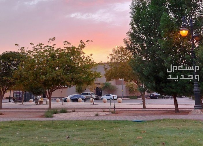 دليلك لأفضل أحياء شمال الرياض جي الياسمين