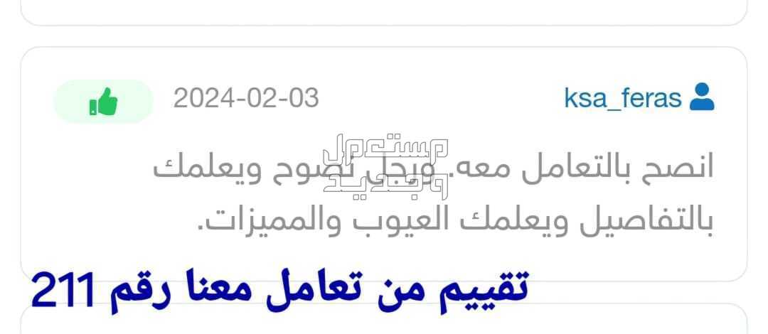 تقرير موجز فوري مع الشرح والاستشارة فيه