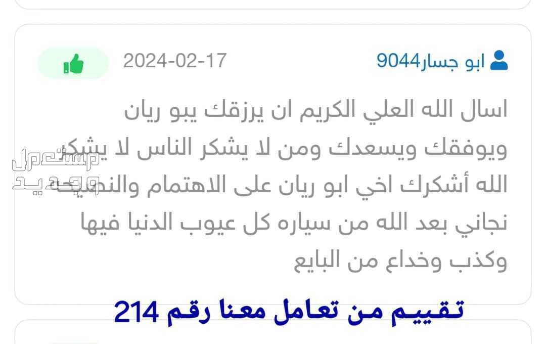 تقرير موجز فوري مع الشرح والاستشارة فيه