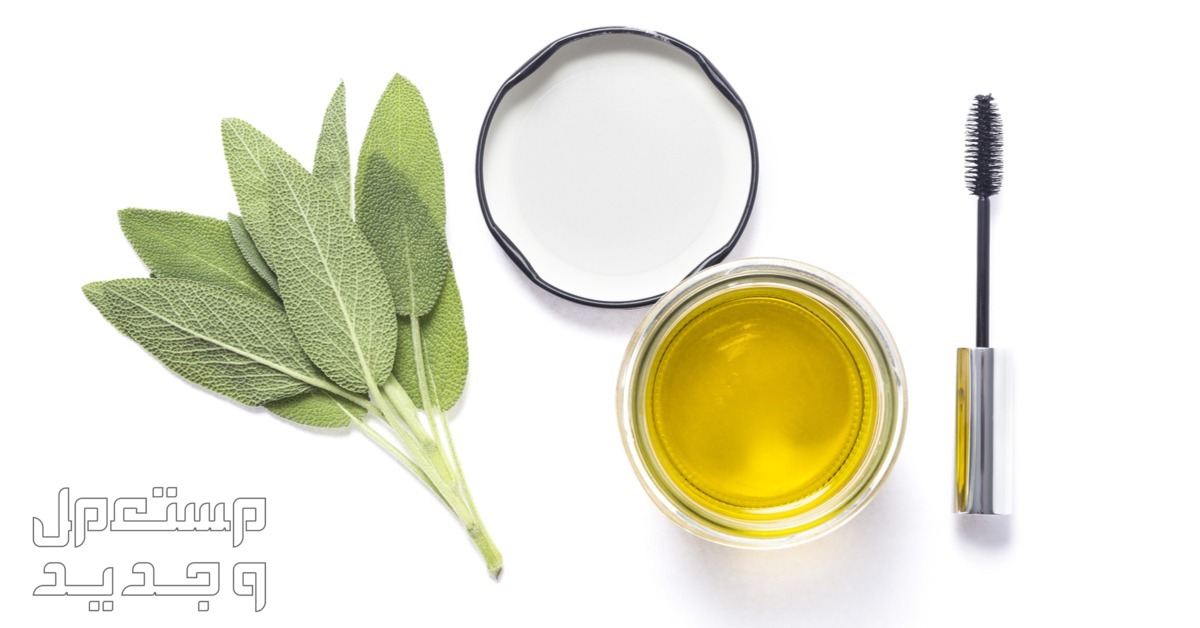 فوائد زيت الزيتون للرموش والحواجب خلطة زيت زيتون للعين
