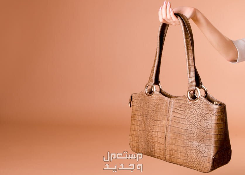 تفسير حلم حقيبة اليد في المنام للرجل والمرأة تفسير رؤية الشنط في المنام