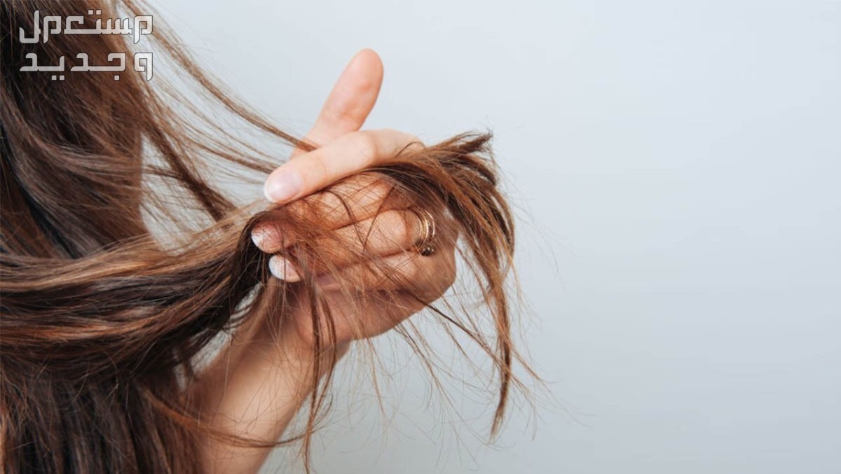 كيفية عمل حمامات زيت للشعر الجاف في المنزل.. إليك الطريقة المثالية سيدة تمسك بأطراف شعرها