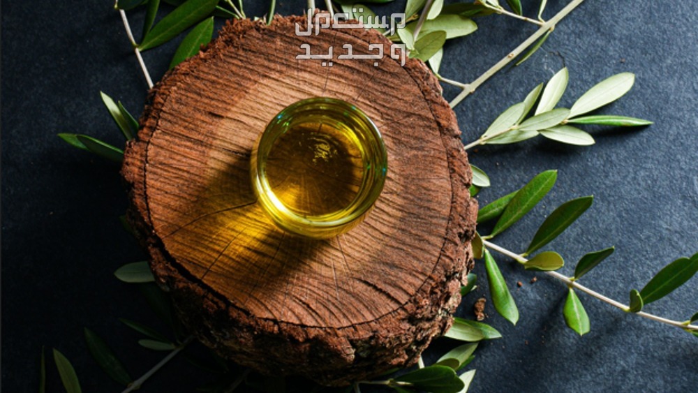 فوائد شرب زيت الزيتون على الريق وكيف يستخدم زيت الزيتون