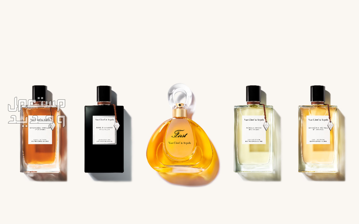 الفرق بين العطور الصيفية والشتوية مكونات العطور الشتوية