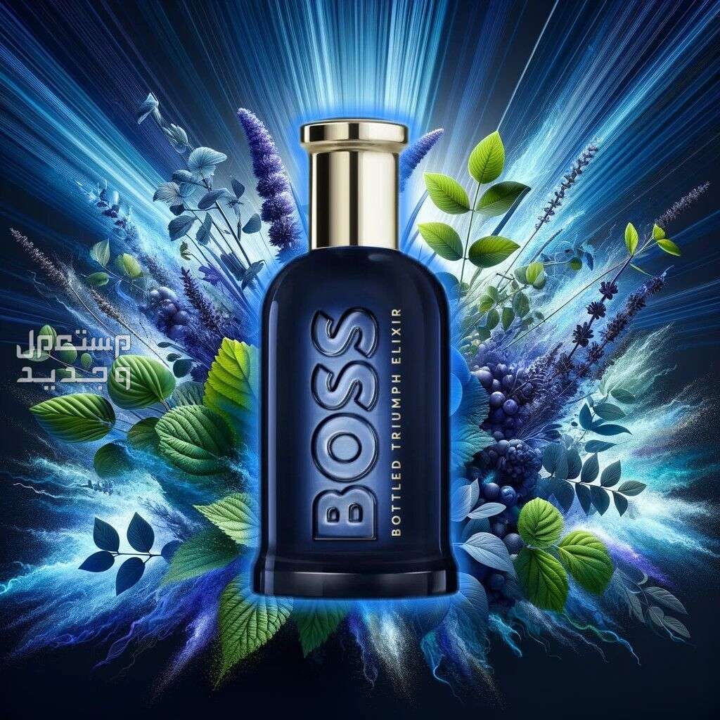 الفرق بين العطور الصيفية والشتوية أفضل العطور الصيفية للرجال