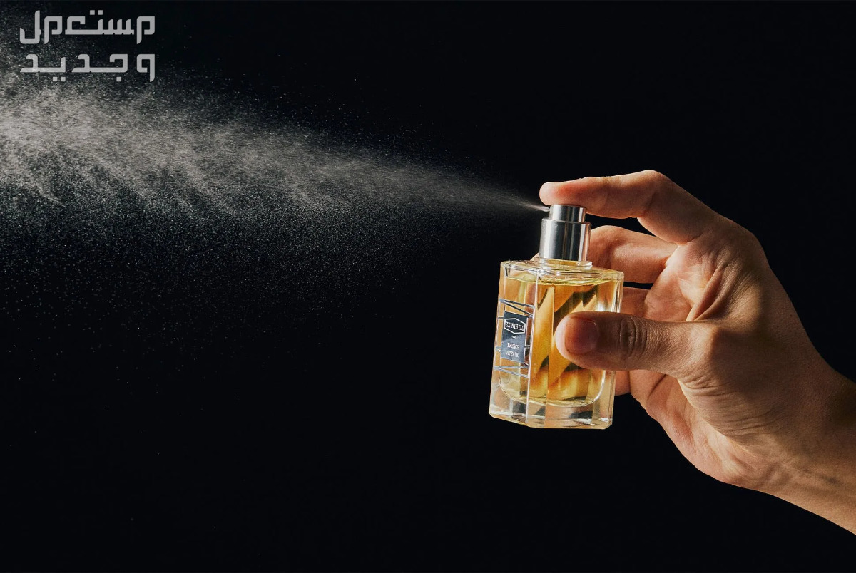 الفرق بين العطور الصيفية والشتوية ما هو العطر الذي يدوم طويلا؟