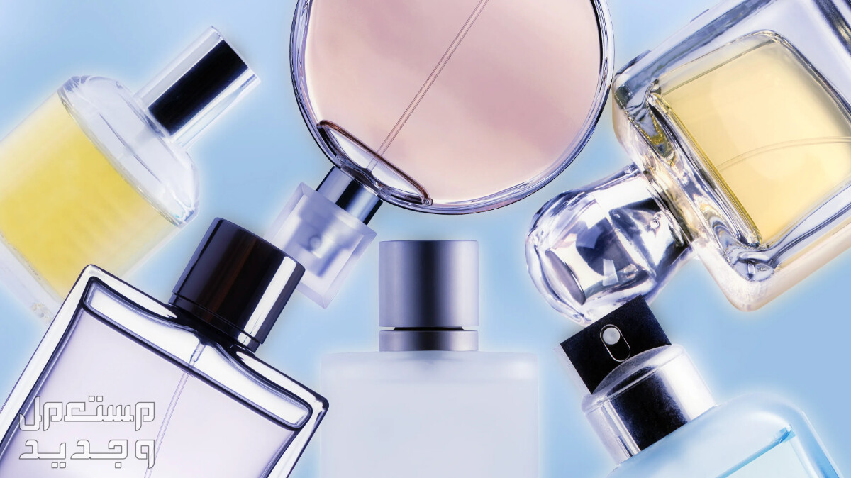 الفرق بين العطور الصيفية والشتوية الفرق بين العطور الشرقية والغربية