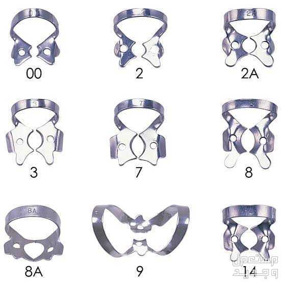 Dental rubber dam clamps