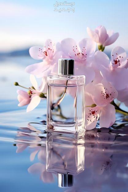الفرق بين العطر الصباحي والمسائي عطور منعشة وجميلة