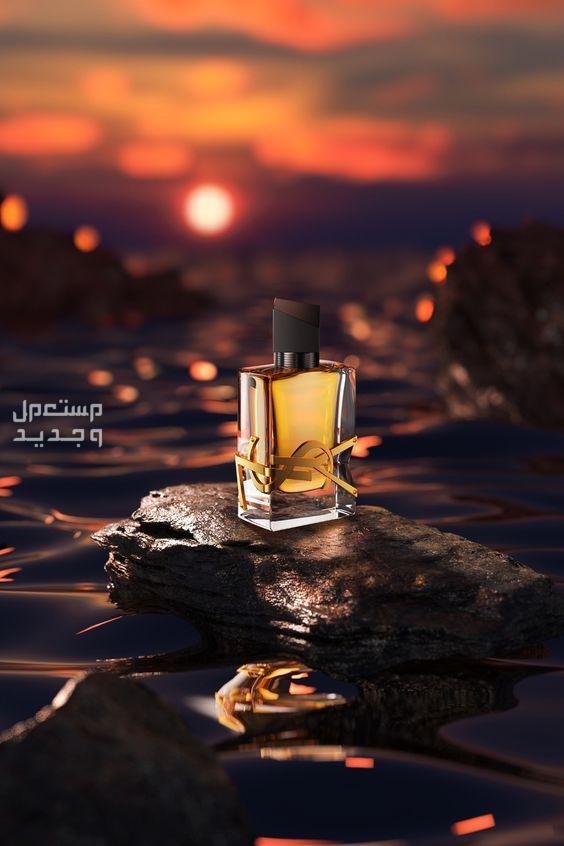 الفرق بين العطر الصباحي والمسائي العطور المسائية تعطيك شعورًا بالفخامة والجاذبية.