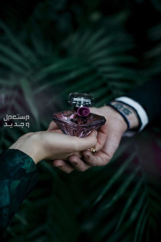 الفرق بين العطر الصباحي والمسائي عطور مسائية للمناسبات