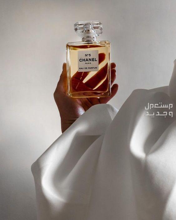 الفرق بين العطر الصباحي والمسائي العطور الصباحية خفيفة ومنعشة