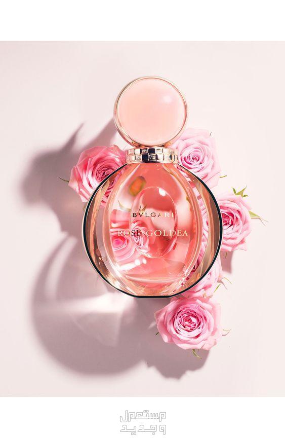 الفرق بين العطر الصباحي والمسائي عطر جذاب للعمل