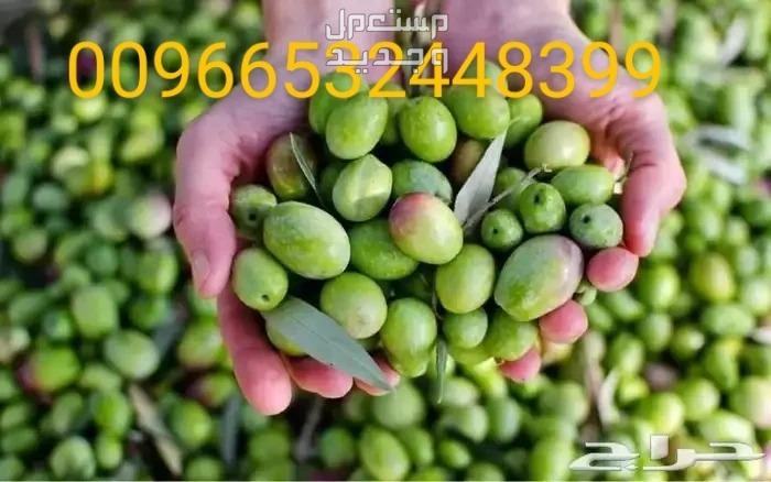 اجود انواع الزيت زيت زيتون طعععم