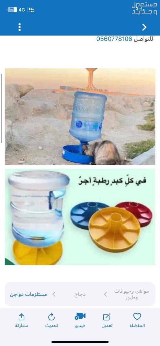 سقاية طيور