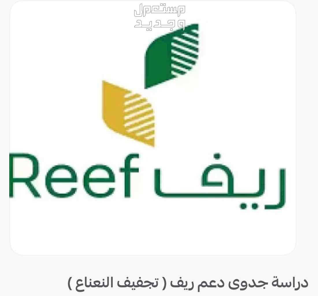 دعم ريف