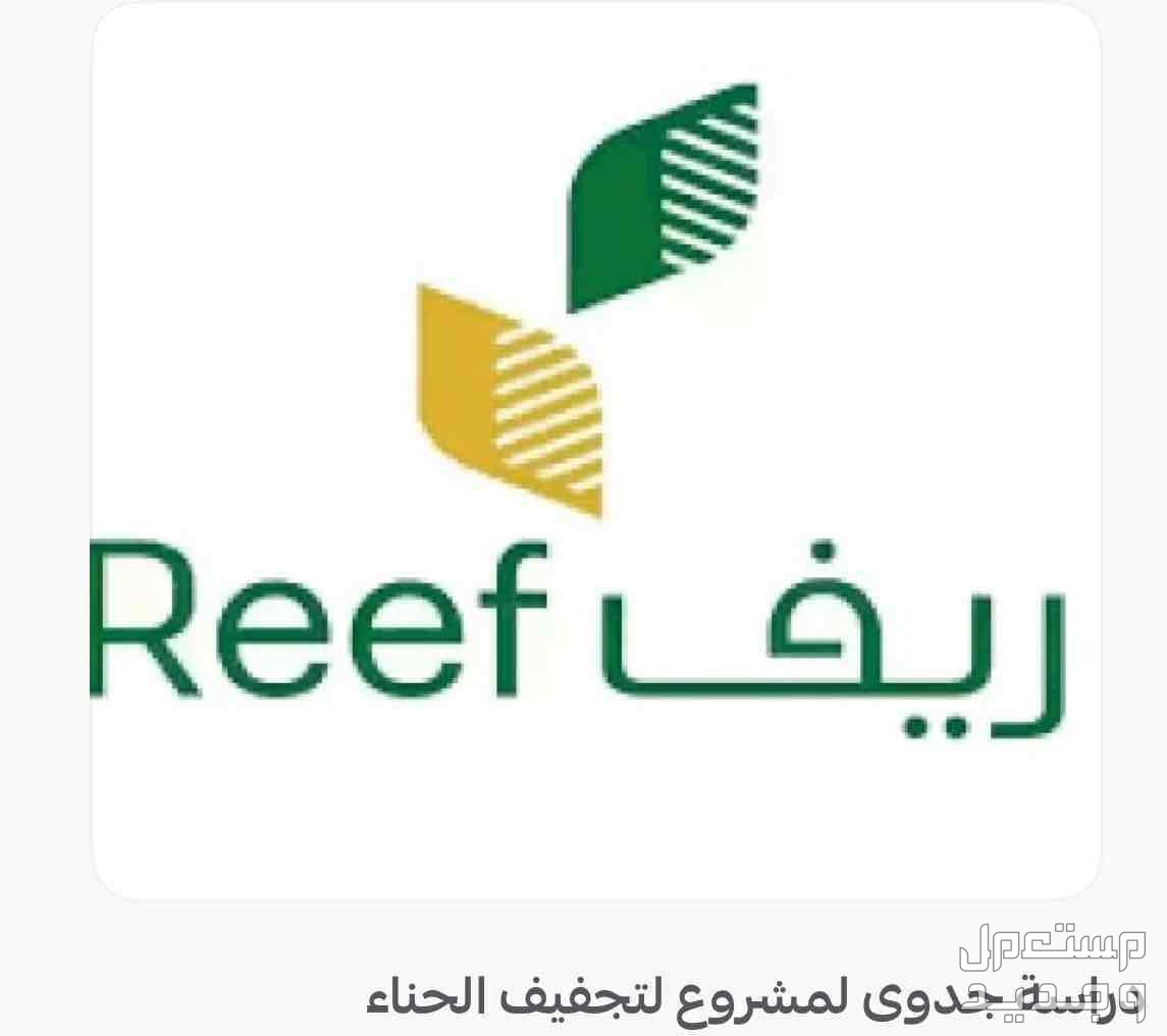 دعم ريف