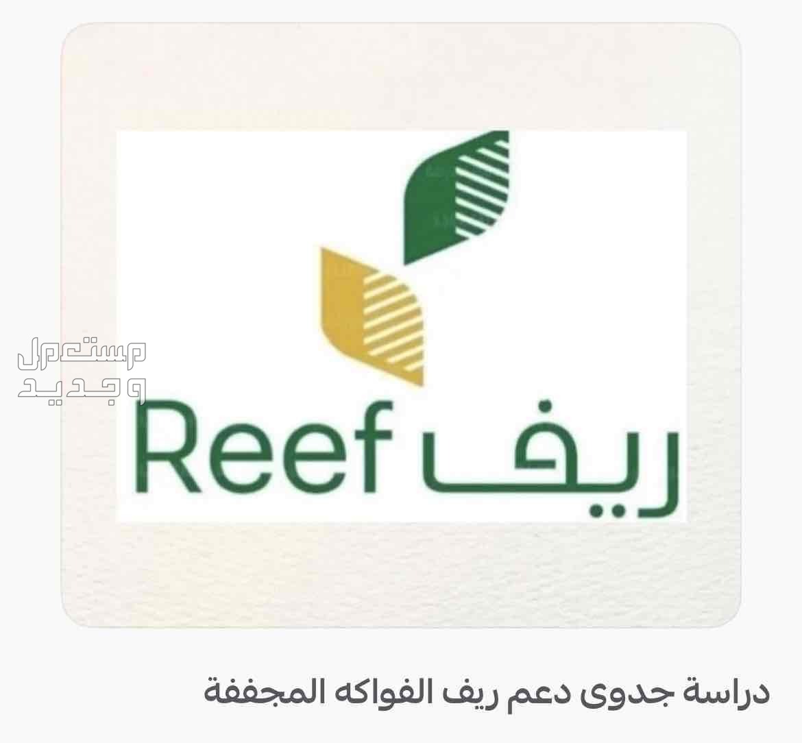 دعم ريف