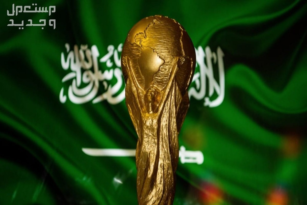 تفاصيل ملف السعودية لاستضافة كأس العالم 2034 مميزات ملف الترشح السعودي