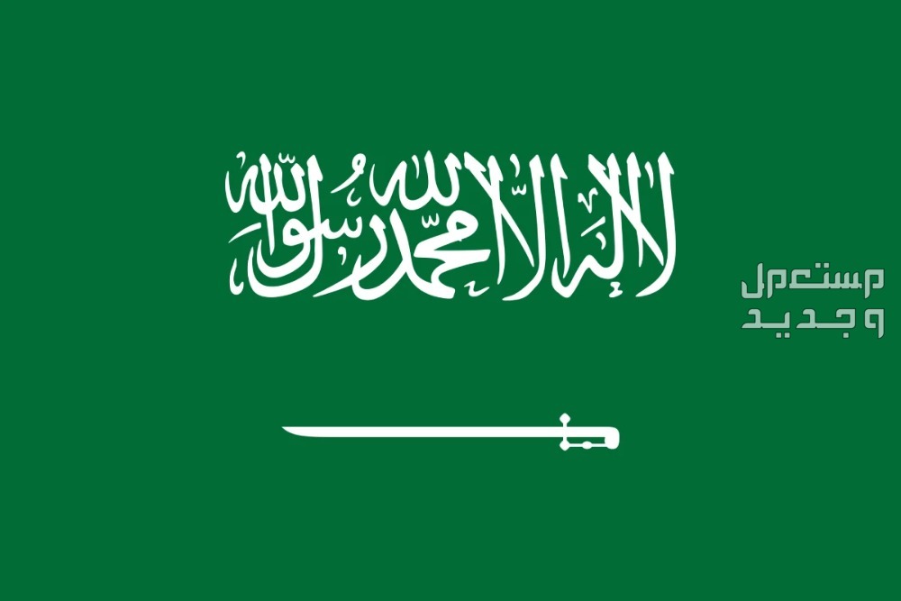 شعار وهوية اليوم الوطني 94 اليوم الوطني السعودي