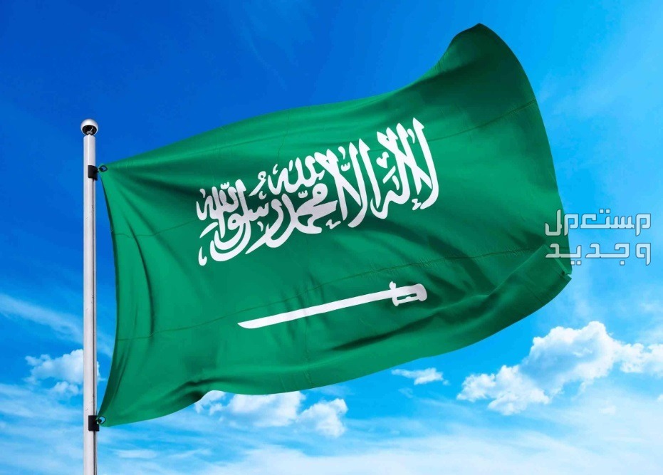 شعار وهوية اليوم الوطني 94 كيف يتم الاحتفال باليوم الوطني السعودي