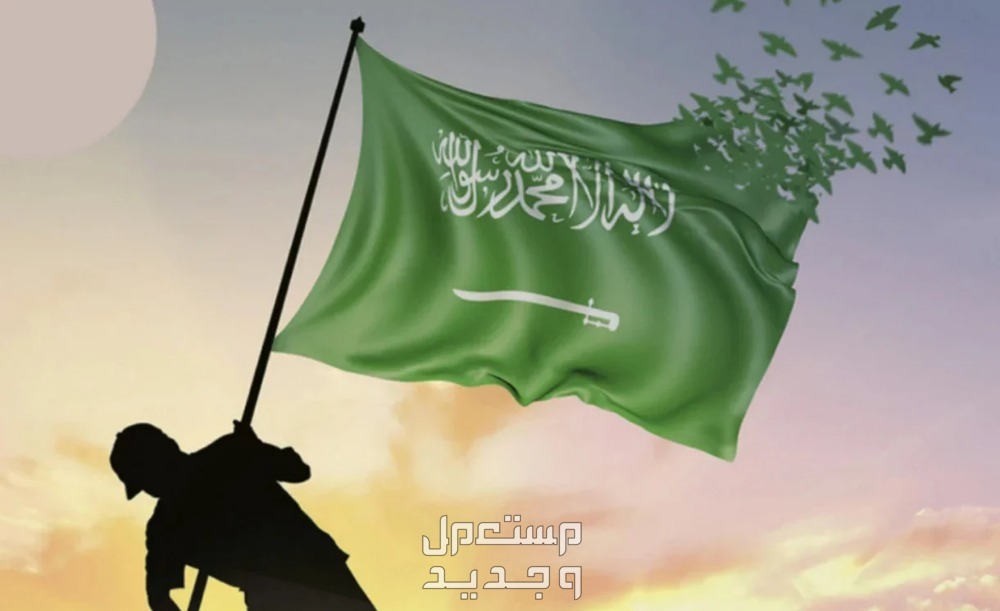 شعار وهوية اليوم الوطني 94 عبارات قصيرة عن اليوم الوطني 1446