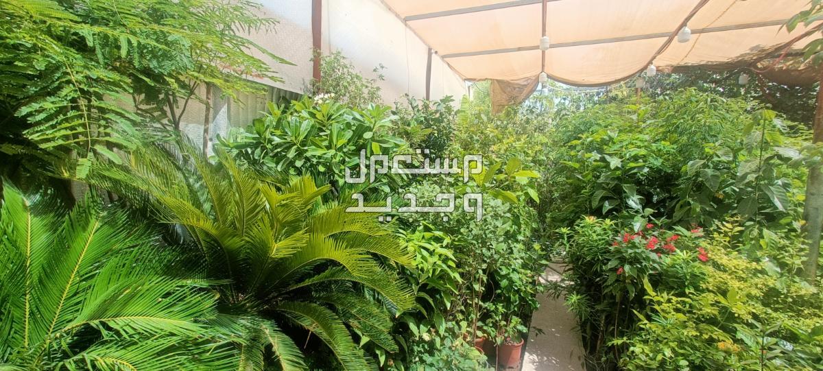 مهندس زراعي متخصص في مجال الزراعة